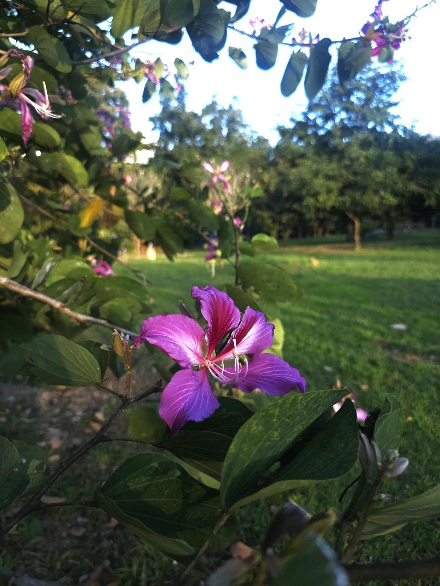 Pai Kiniman Resort Kültér fotó