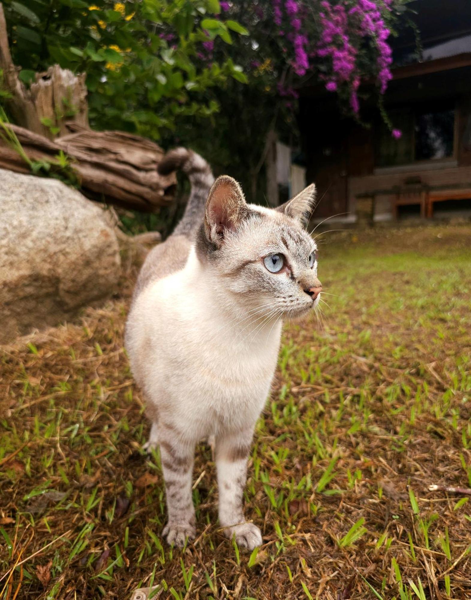 Pai Kiniman Resort Kültér fotó